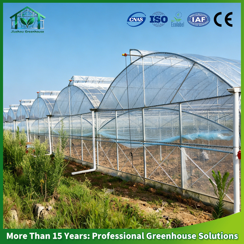 Multi-Span Arch Plastic Film Greenhouse Hot DIP Galvanized Steel Frame Ventilation for Commercial Vegetable Flower Fruit Nursery Hydroponic Agriculture Farm