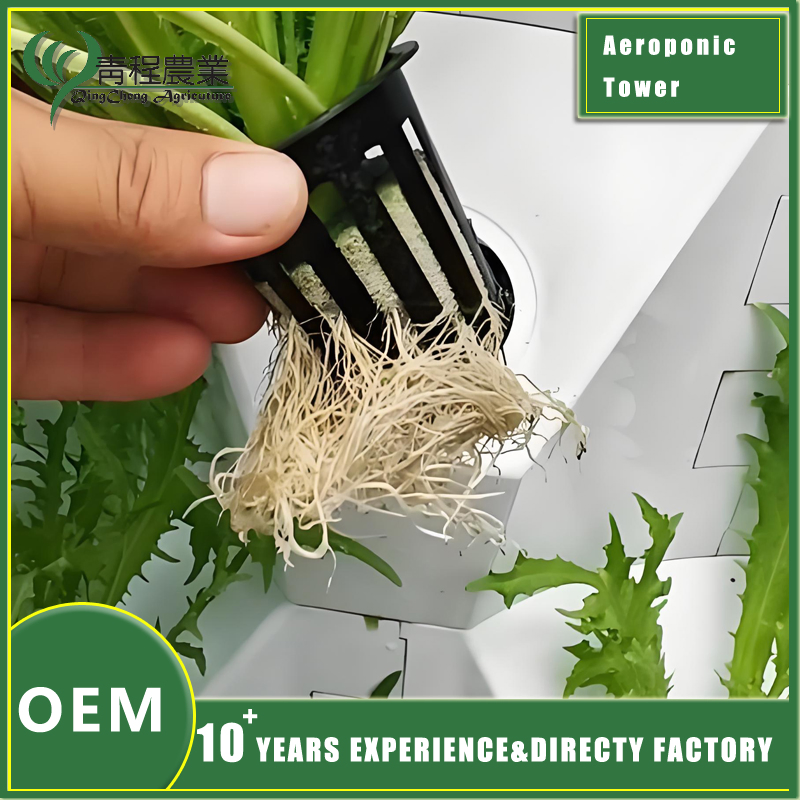 Vertical Hydroponic Gardening Systems for Indoor and Outdoor Pineapple Cultivation