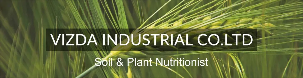 Product Footer Banner