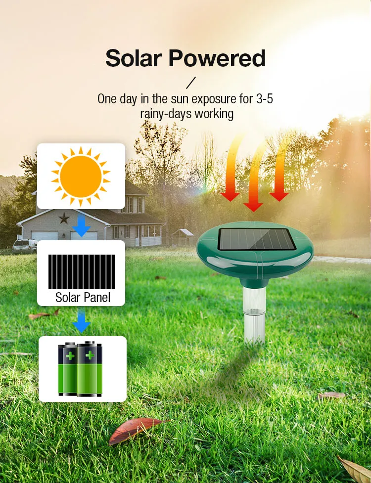 Solar Repeller Photo 3