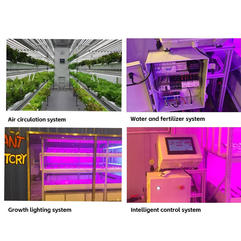 Agg 40f Automatic Animal Fodder Sprout Container / Hydroponic Barley Growing System Plant Growing Containers Hydroponic Farm for Growing Herbs, Flowers