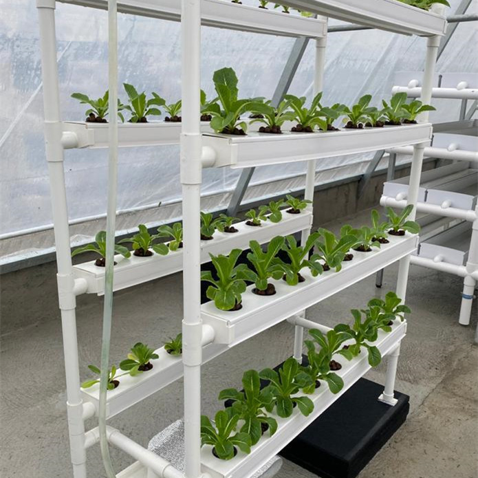 Indoor Vertical Hydroponic Nft Channel System for Leafy Vegetables