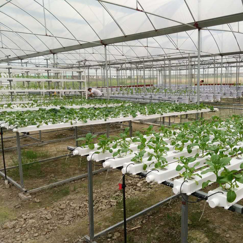 Agriculture Vertical Hydroponics Systems Farm Agriculture Nft Hydroponic Channel
