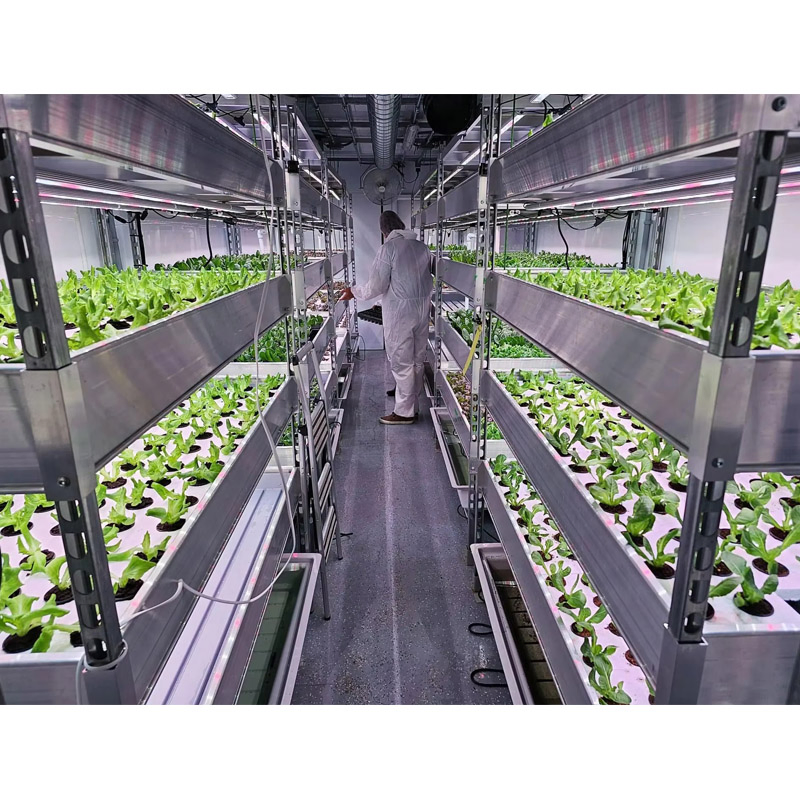 Agg 40f Automatic Animal Fodder Sprout Container / Hydroponic Barley Growing System Plant Growing Containers Hydroponic Farm for Growing Herbs, Flowers