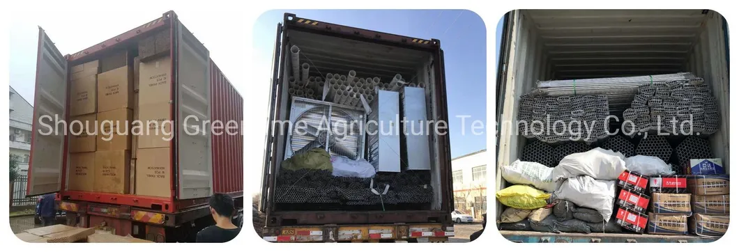 Packaging and Shipping