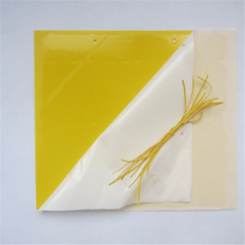 High Quality Powerful Kill Pest Insect Killer for Garden