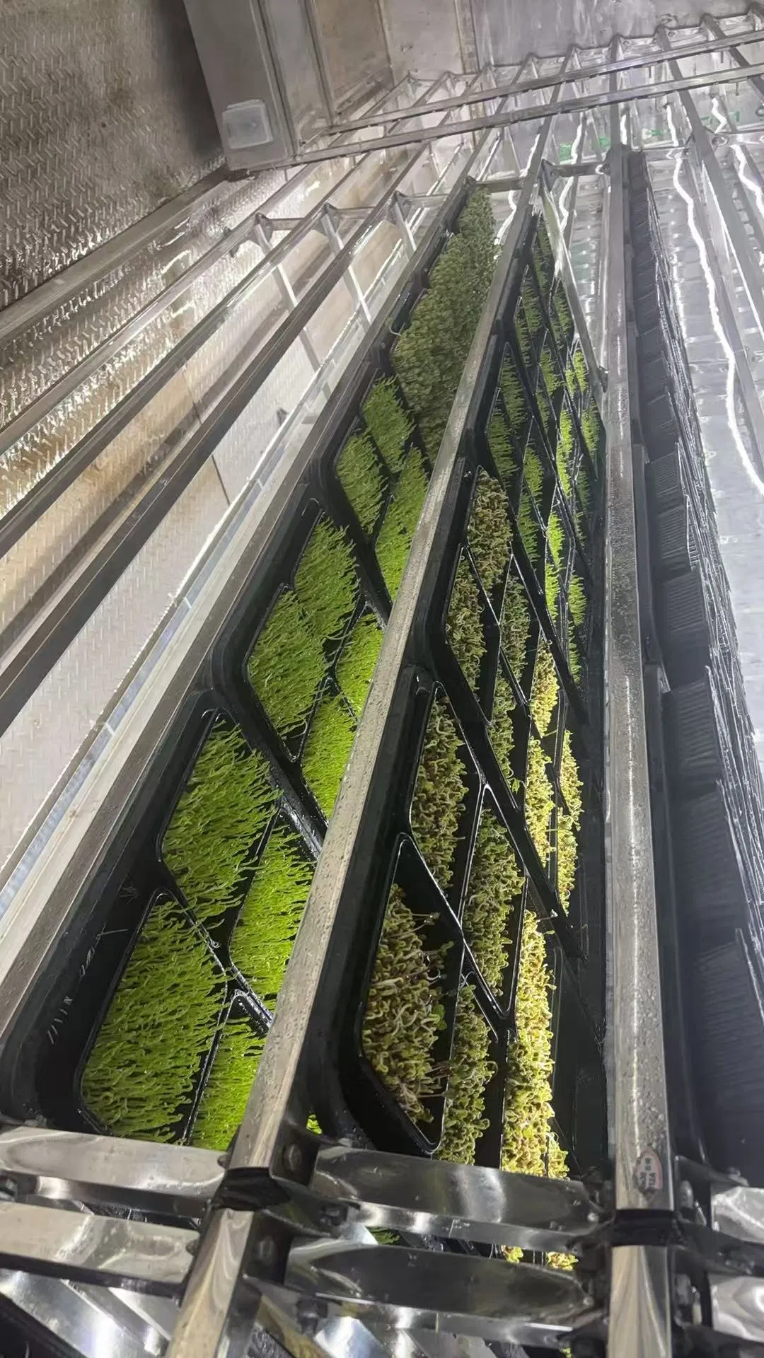 Agg Herbs Hydroponic Aeroponic Plant Factory Vertical Farming Container