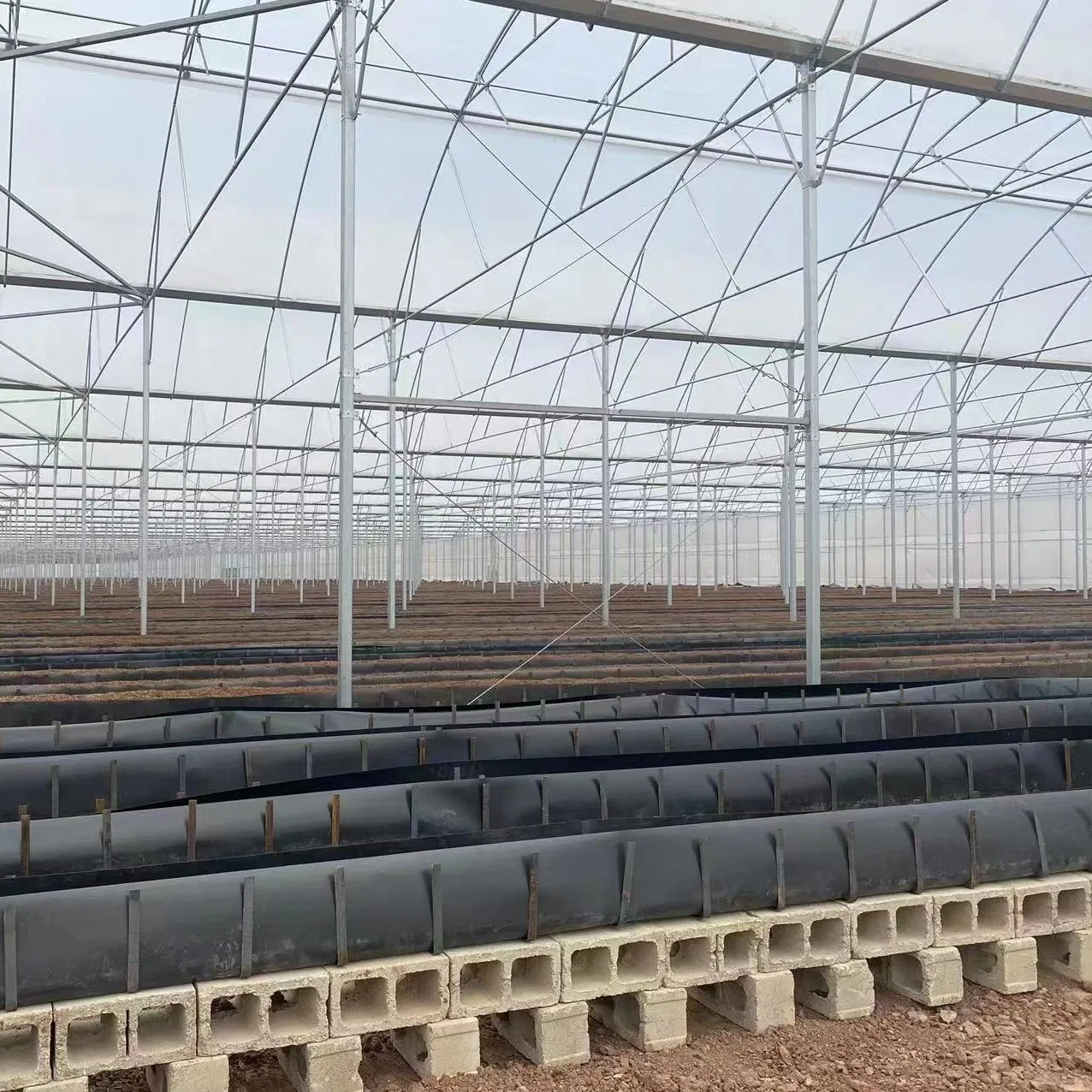 Factory Supply Coconut Coir/Substrate Container for Low Input Soiless Culture for Vegetables/Flowers