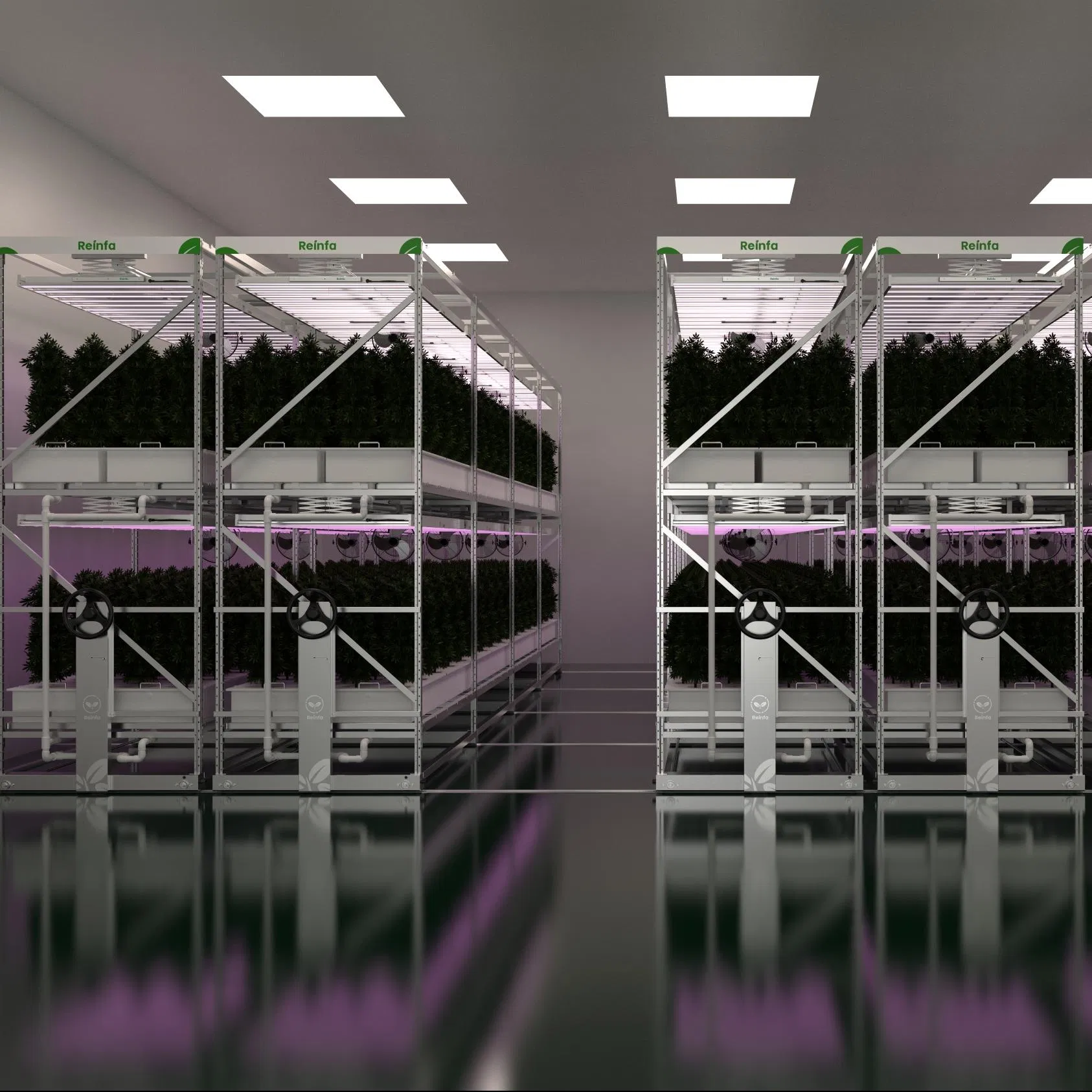 Reinfa Aeroponics Vertical Grow Gardening Hydroponic Systems for Flowers and Herbs