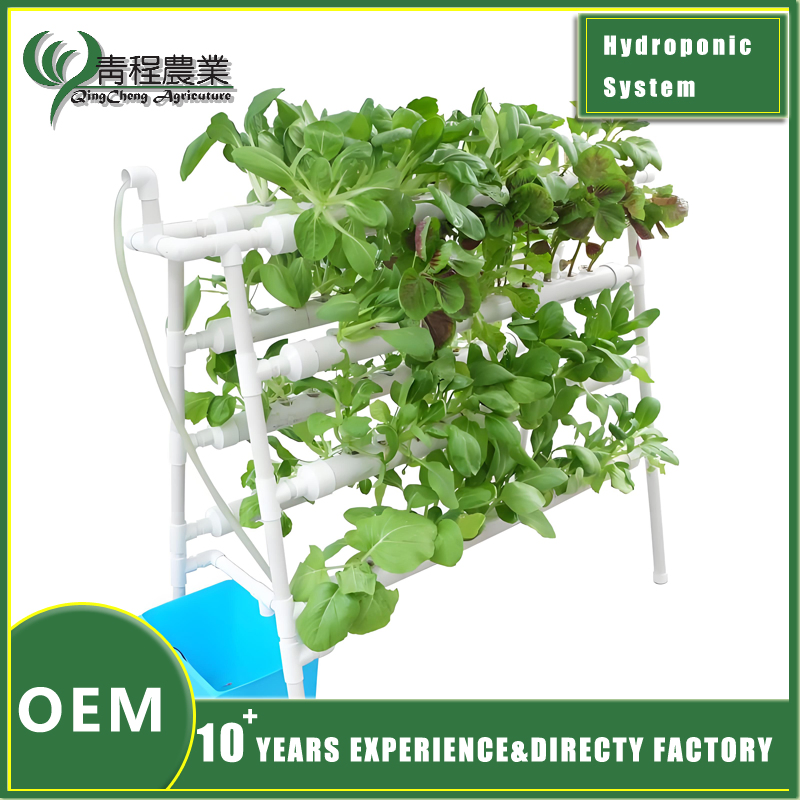 New Design Double-Sided Hydroponic System Indoor Small Vertical for Home Gardening Farms