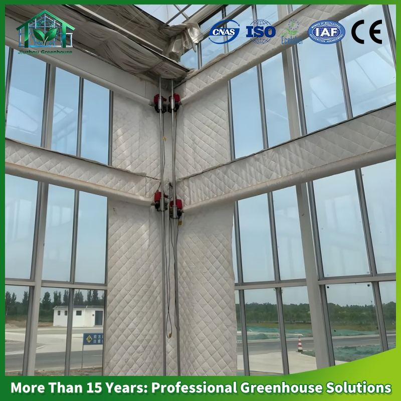 Multi-Span Venlo Glass Greenhouse Green House for Nursery Tomato Cucumber Leafy Vegetables Flowers with Hydroponic Automatic Irrigation System Long Life