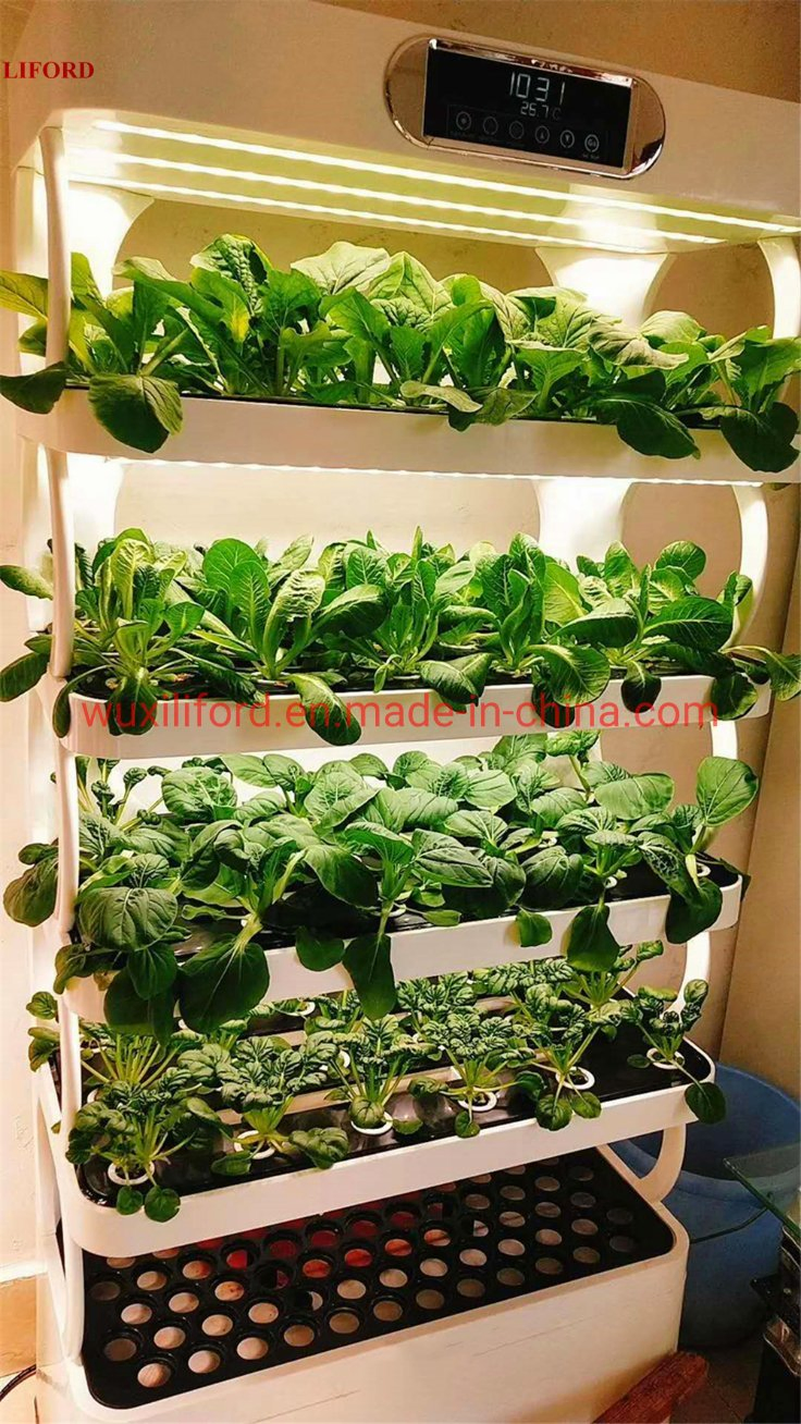 Urban Farming Indoor Hydroponics Growing System Vertical Gardening with LED
