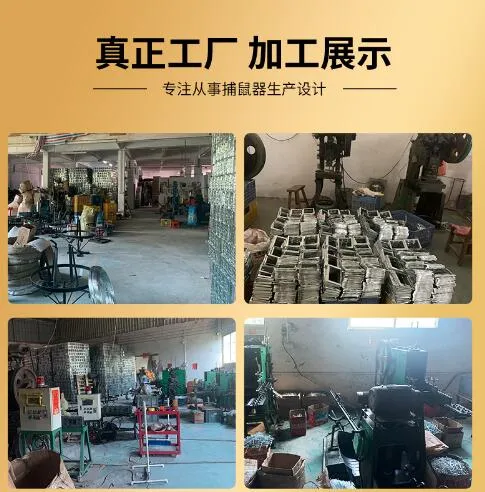 Rat Control Solution