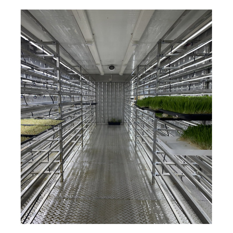 Agg Custom Commercial Shipping Container Farming Strawberry Ebb Flow Seedling Hydroponic Nursery Smart Farm Container Farms Planting Container for Herbs