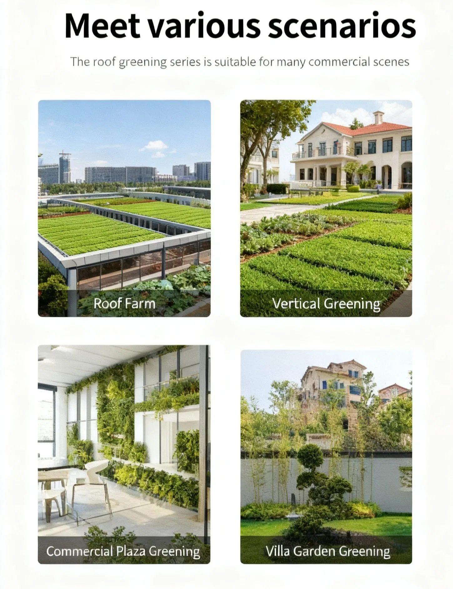 Application Overview