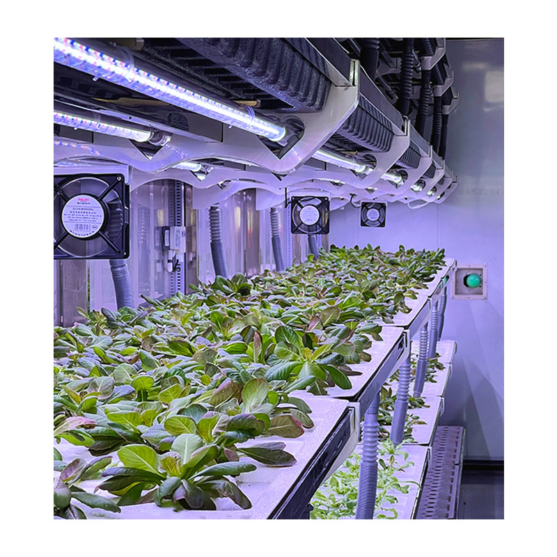 Agg 20FT Container Nft Hydroponic Farm Grow House Vertical Shipping Container Farm System Planting Container for Growing Herbs, Flowers and Vegetables