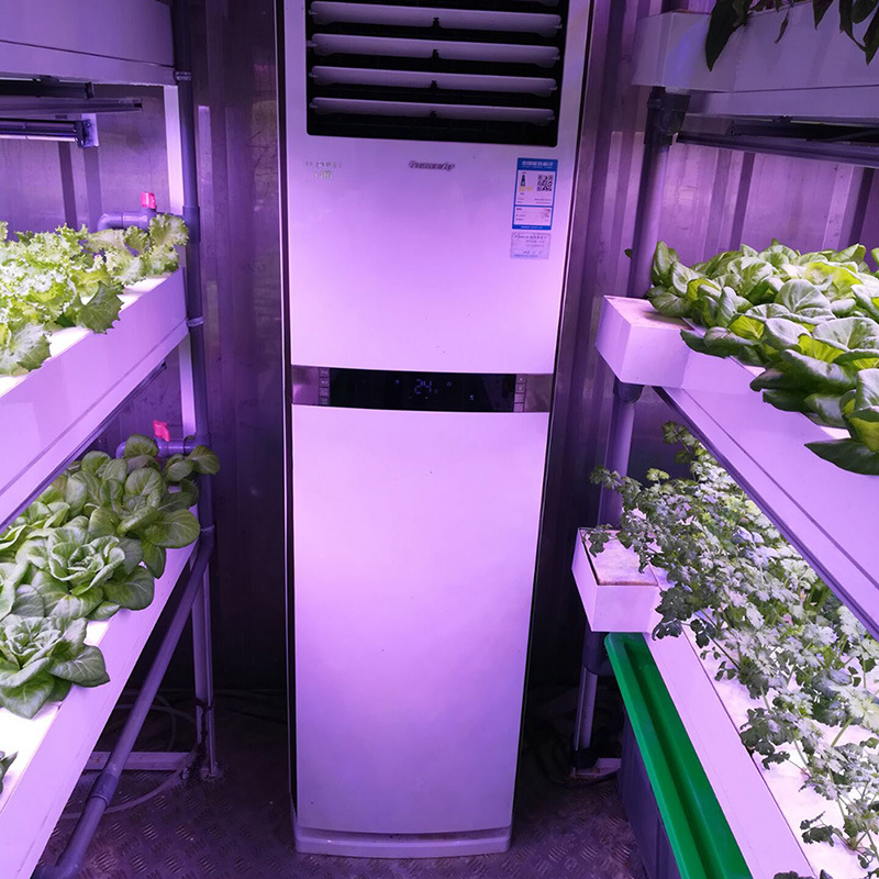 Agg Smart Farm Grow Hydroponic Vertical Farming System Greenhouse Container