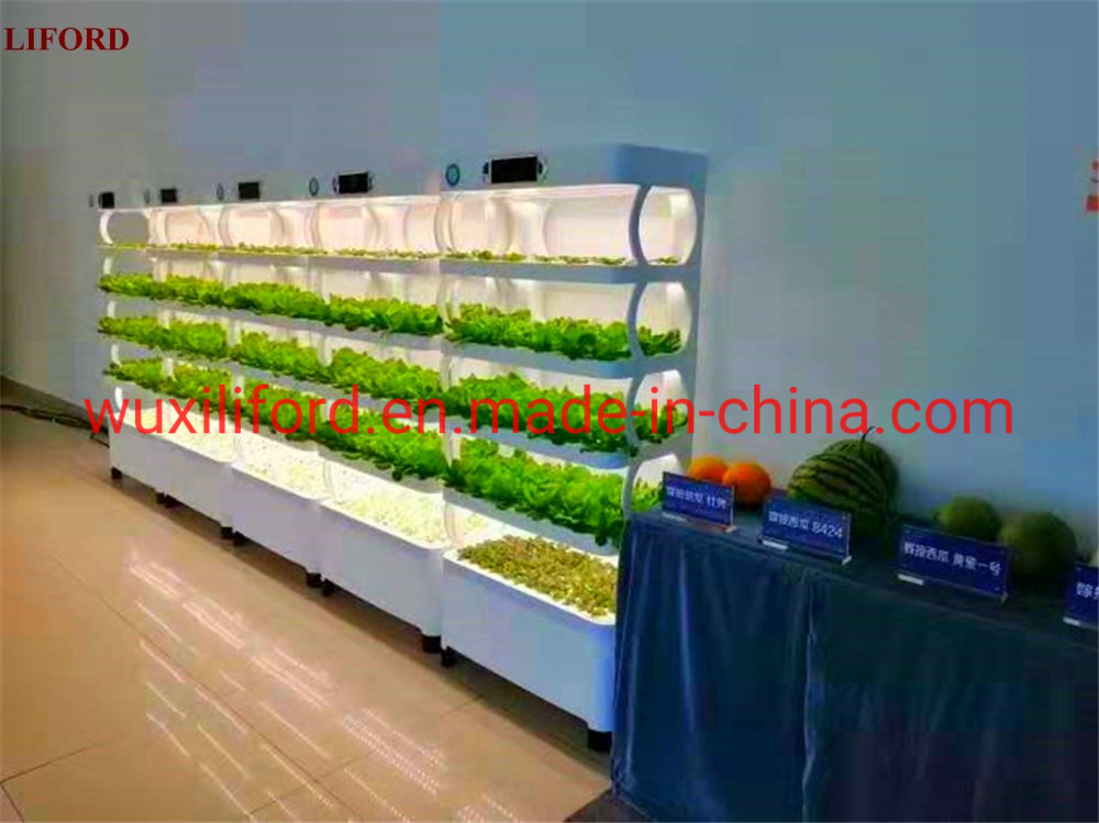 China Factory Supplier Home Gardening System Hydroponics Grow Machine Indoor Growing System Nft Hydroponic Growing System Hydroponics System Vertical