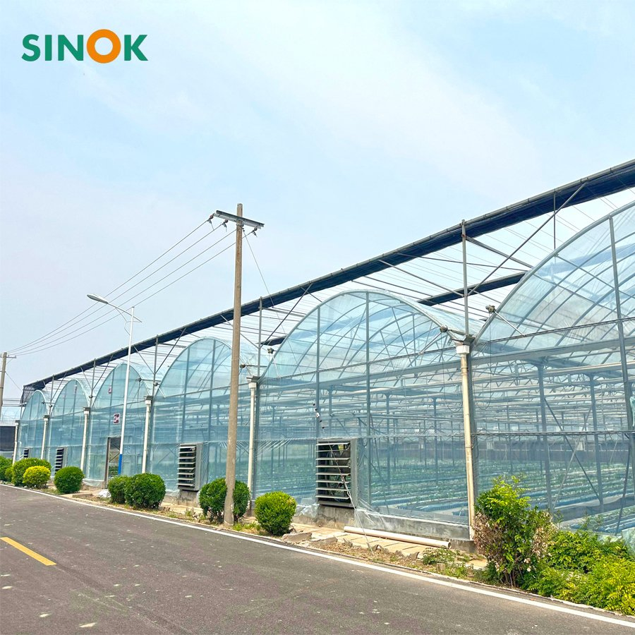 Agricultural Multi-Span Arch Type UV Plastic PE Film Greenhouse for Vegetables/Fruit/Strawberry/Cucumber/Tomato/Lettuce/Eggplant with Hydroponic Growing System
