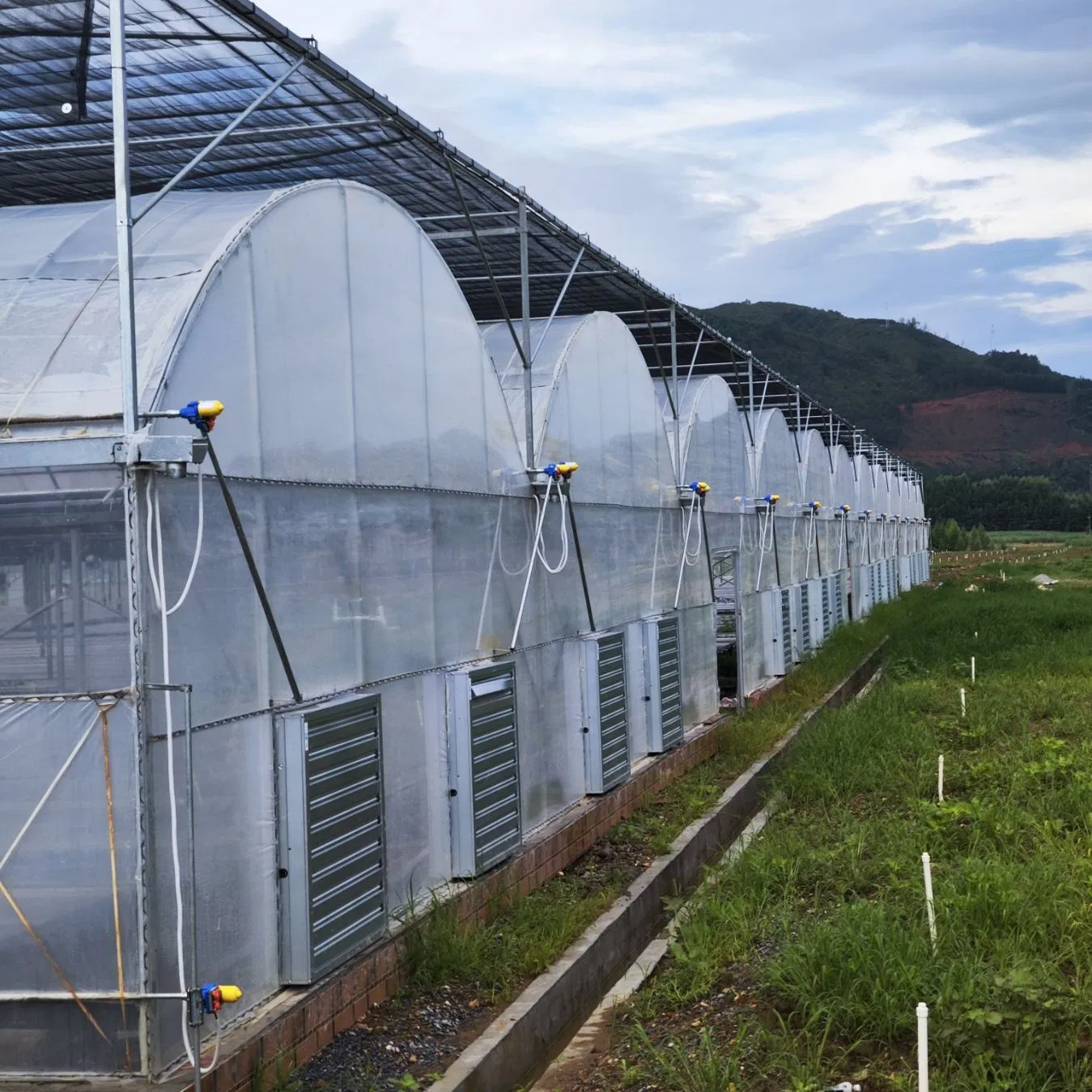 Affordable Multi-Span Greenhouse for Hydroponic Tomato and Strawberry