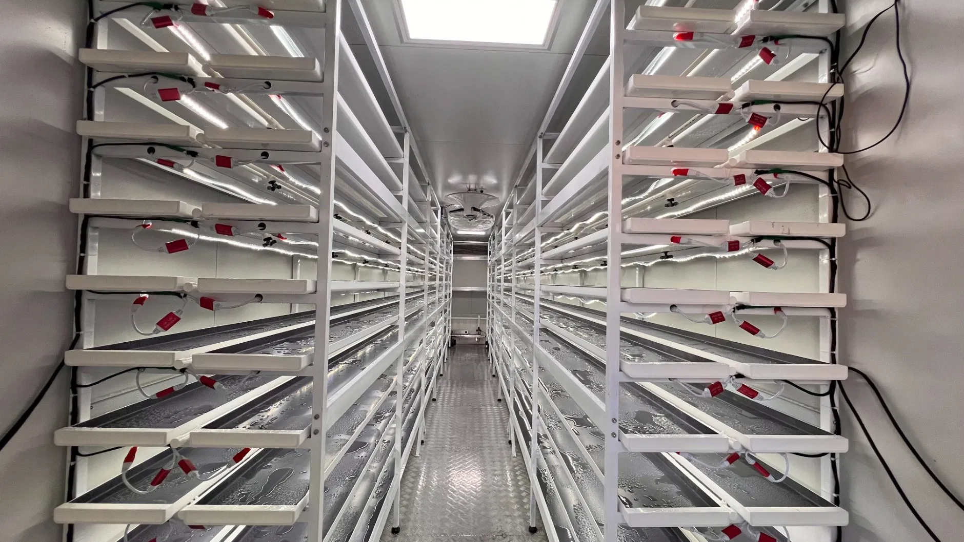 Agg Indoor Vertical Grow System Hydroponic Aeroponic Container Farm for Green Herbs Strawberries Tall Plants Indoor Vertical Grow