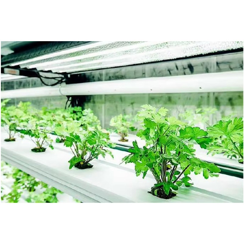 Agg Automatic Animal Fodder Sprout Container / Hydroponic Barley Growing System Planting Container for Growing Herbs, Flowers and Vegetables