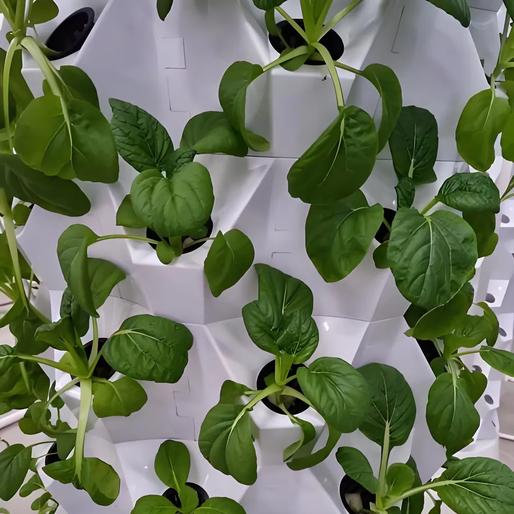 Hydroponic Tower View 2