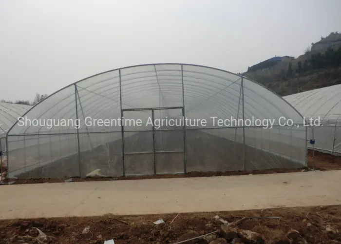 Plastic Film Greenhouse
