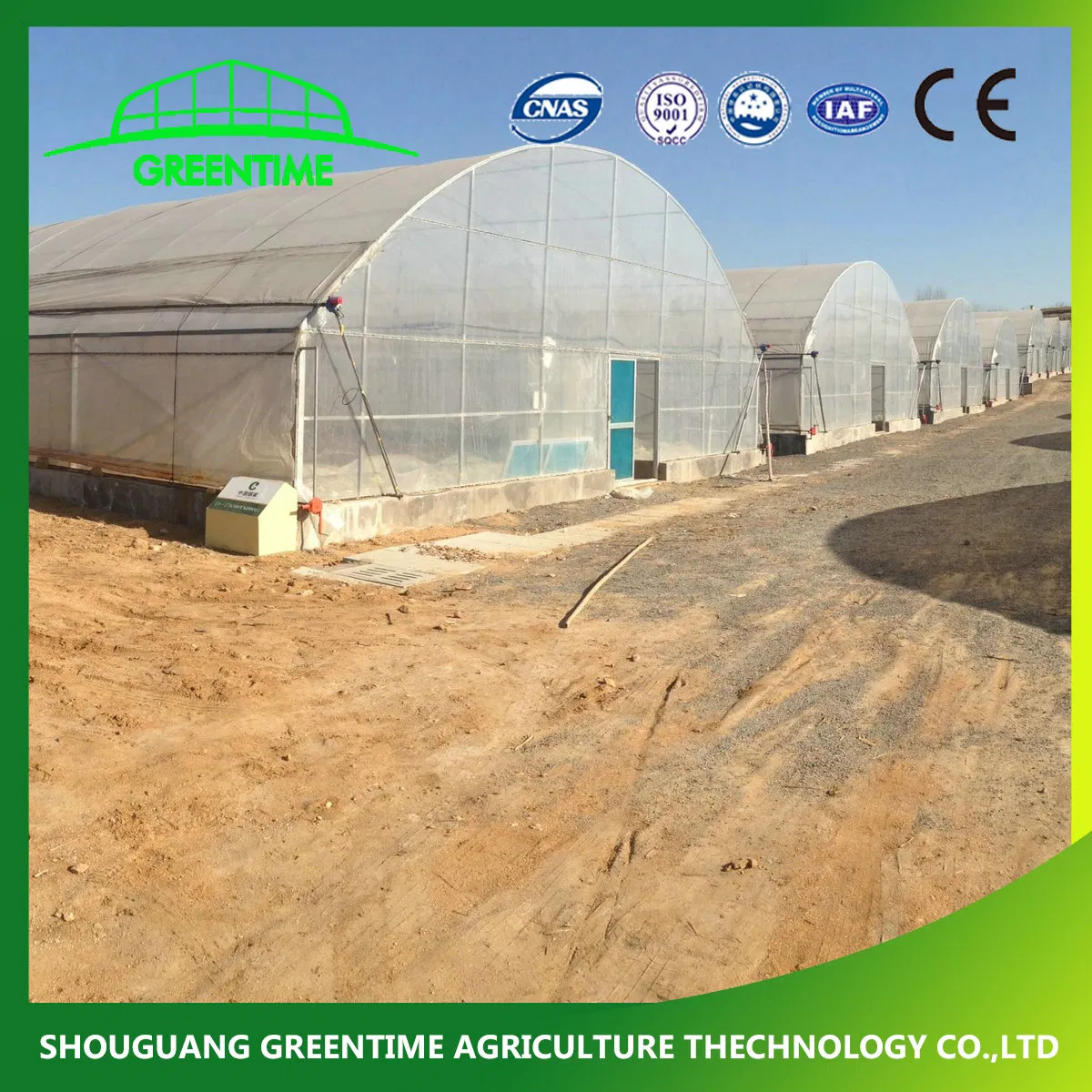 Agricultural/Commercial Single Span/Cheap Tunnel/Gothic Plastic Film Hydroponic Greenhouse for Tomatoes Lettuce Cucumber