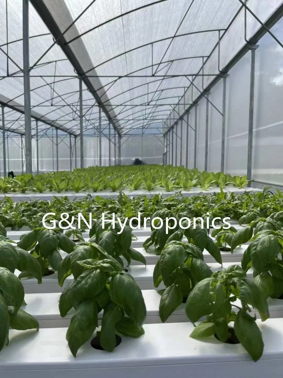 Indoor Greenhouse Vertical Hydroponic Gardening System Nft Farming PVC Gully