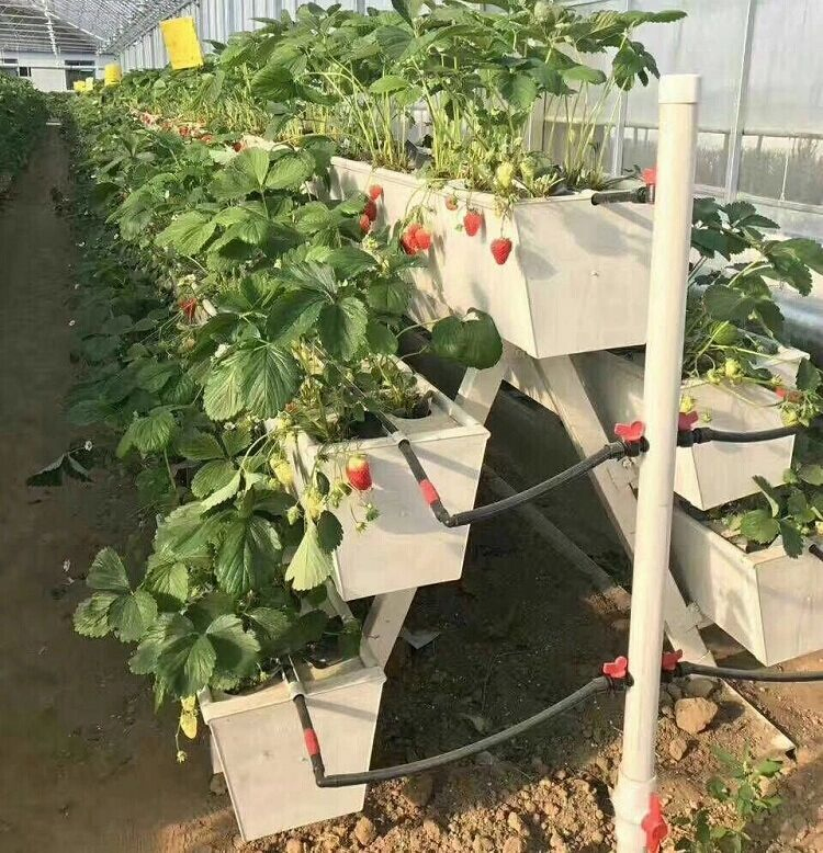Aquaponics Hydroponic Farms Gardening Vertical System Nft PVC Tray System Nft Strawberry Channel Hydroponic Greenhouse Equipment