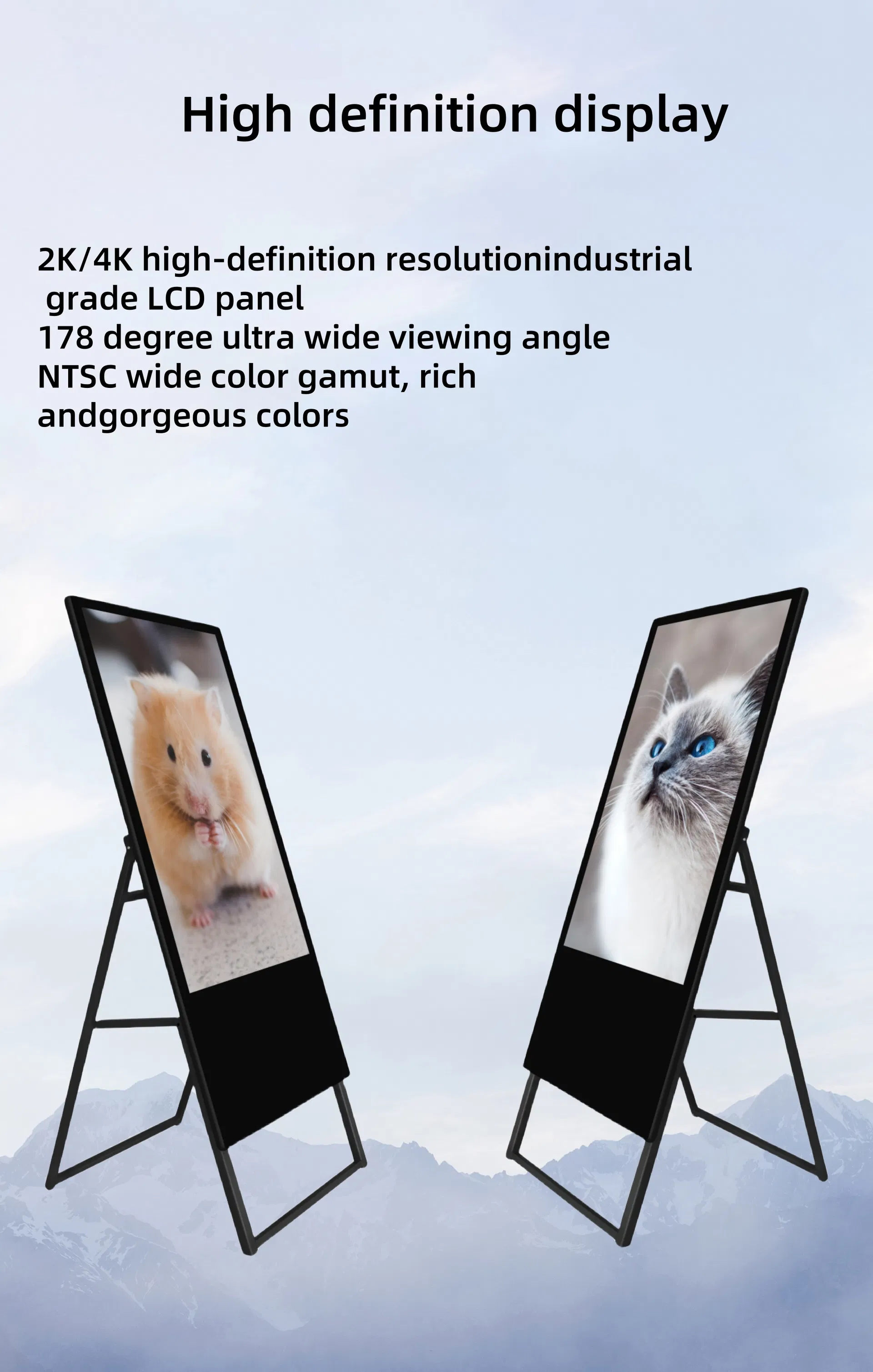 Digital Signage Overview