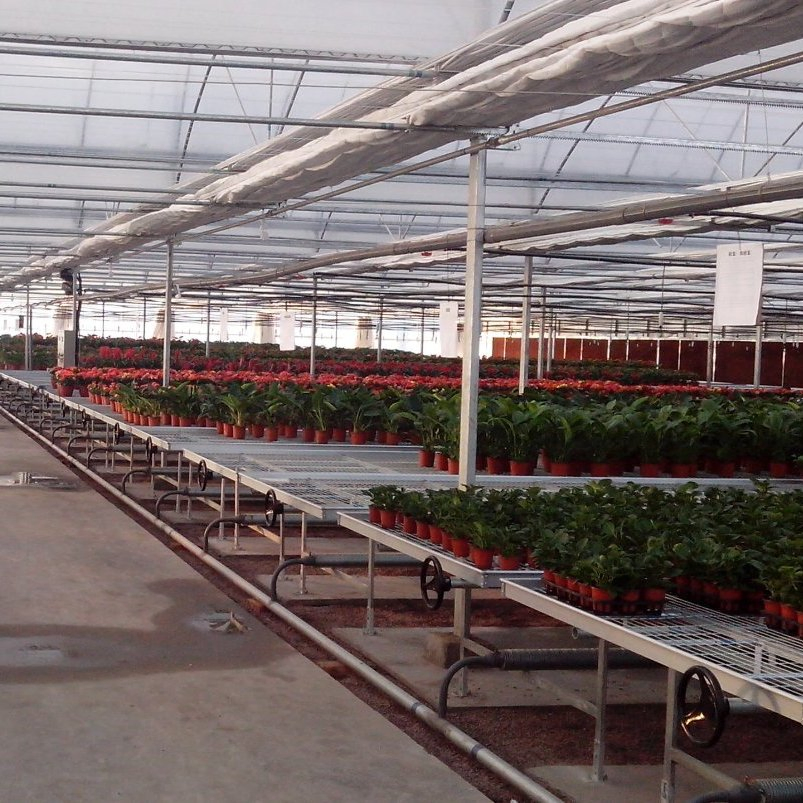 Vertical Hydroponic Container for Organic Vegetables