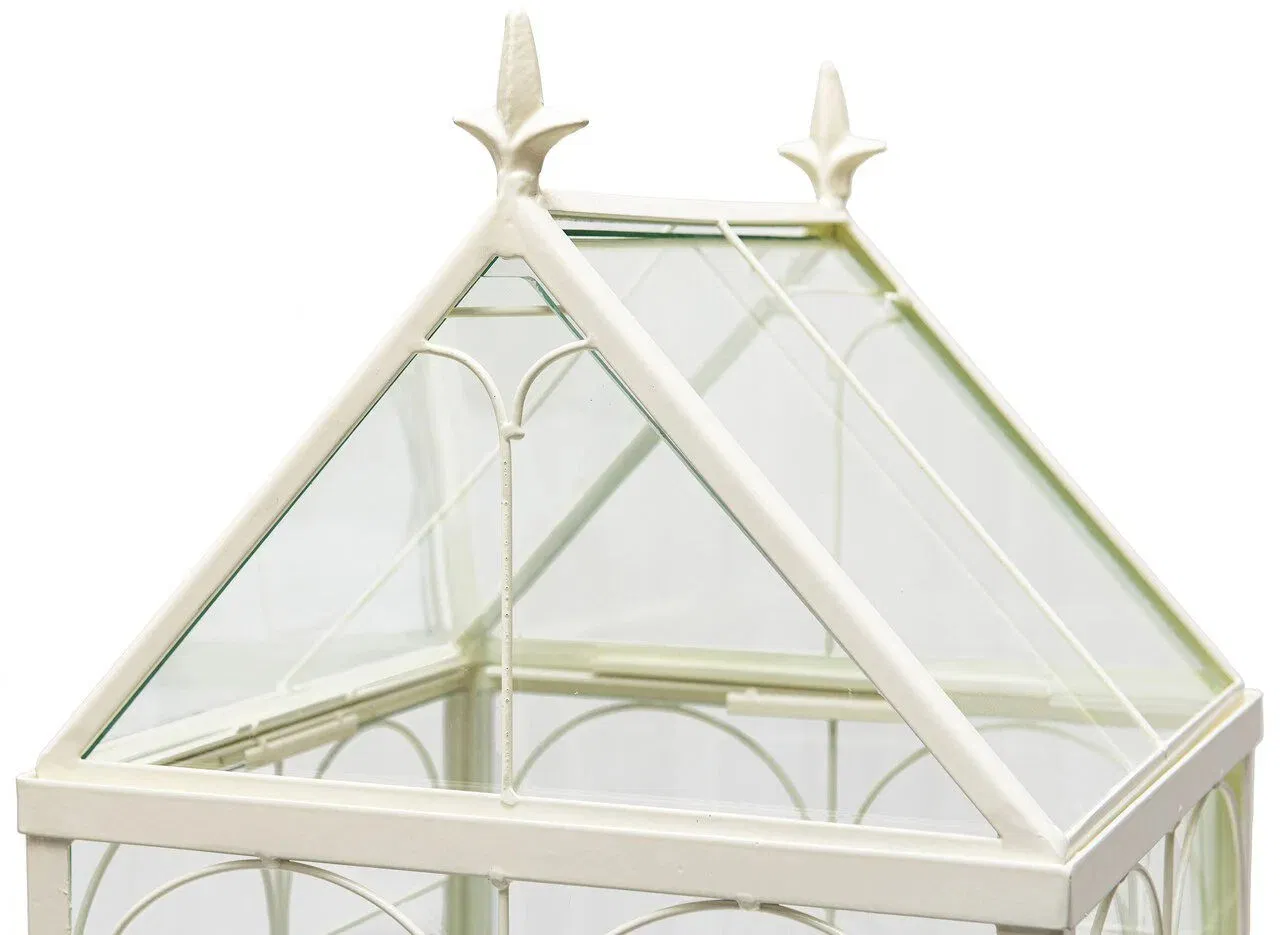 Large Metal Plant Terrarium Kit Glass Containers Indoor Gift for Succulents Orchids