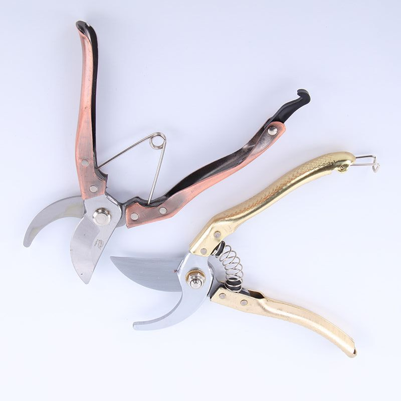 Cutting Tool with Safety Lock for Small Trimming