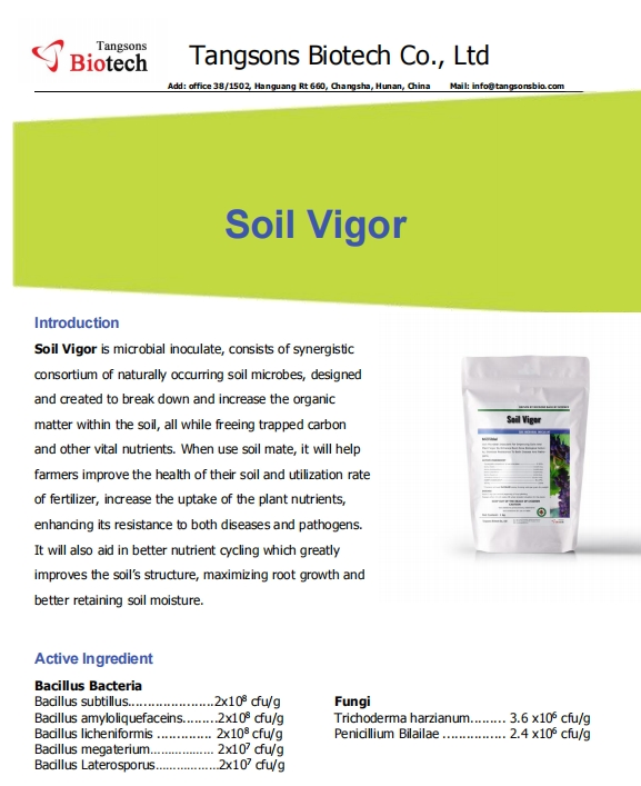 Organic Soil Beneficial Bacteria Microbial Inoculant for Sustainable Soil Fertility and Healthier Crops Bio Fertilizer.