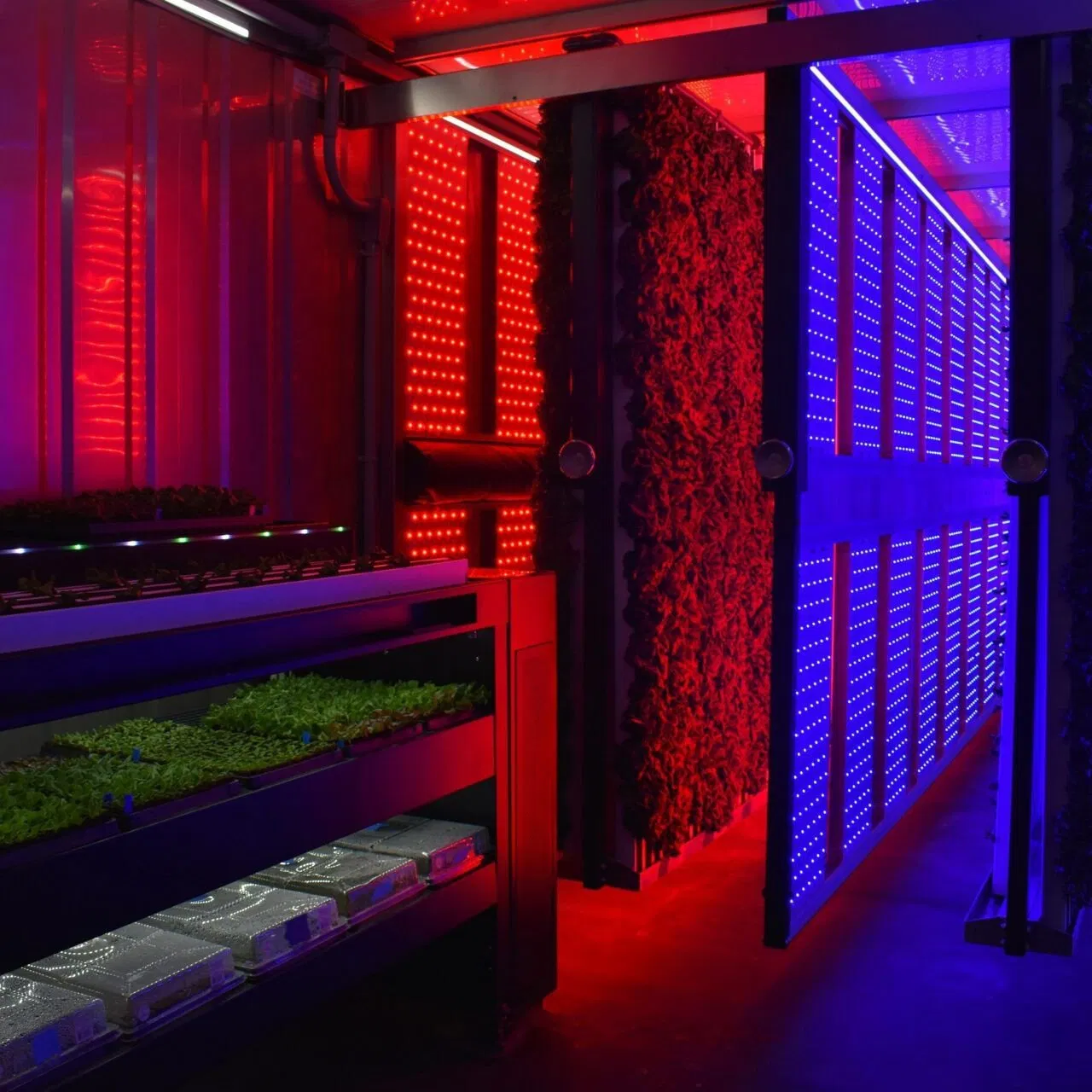 Hydroponic Shipping Container Farms Box Modular Farm Solution 40hq Hydroponic Container System
