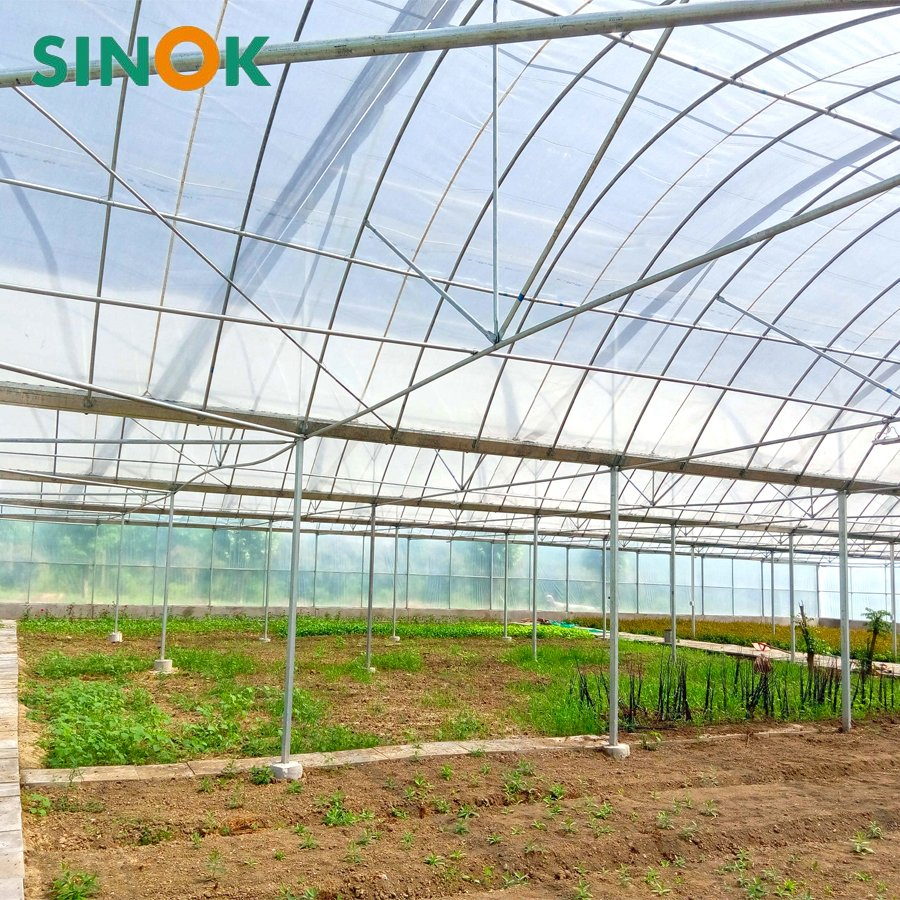 Multi-Span Agricultural/Commercial /Po/PE Film/Plastic Greenhouse Green House for Tomatoes/Cucumber/Peppers/Strawberry with Hydroponic System/Drip Irrigation