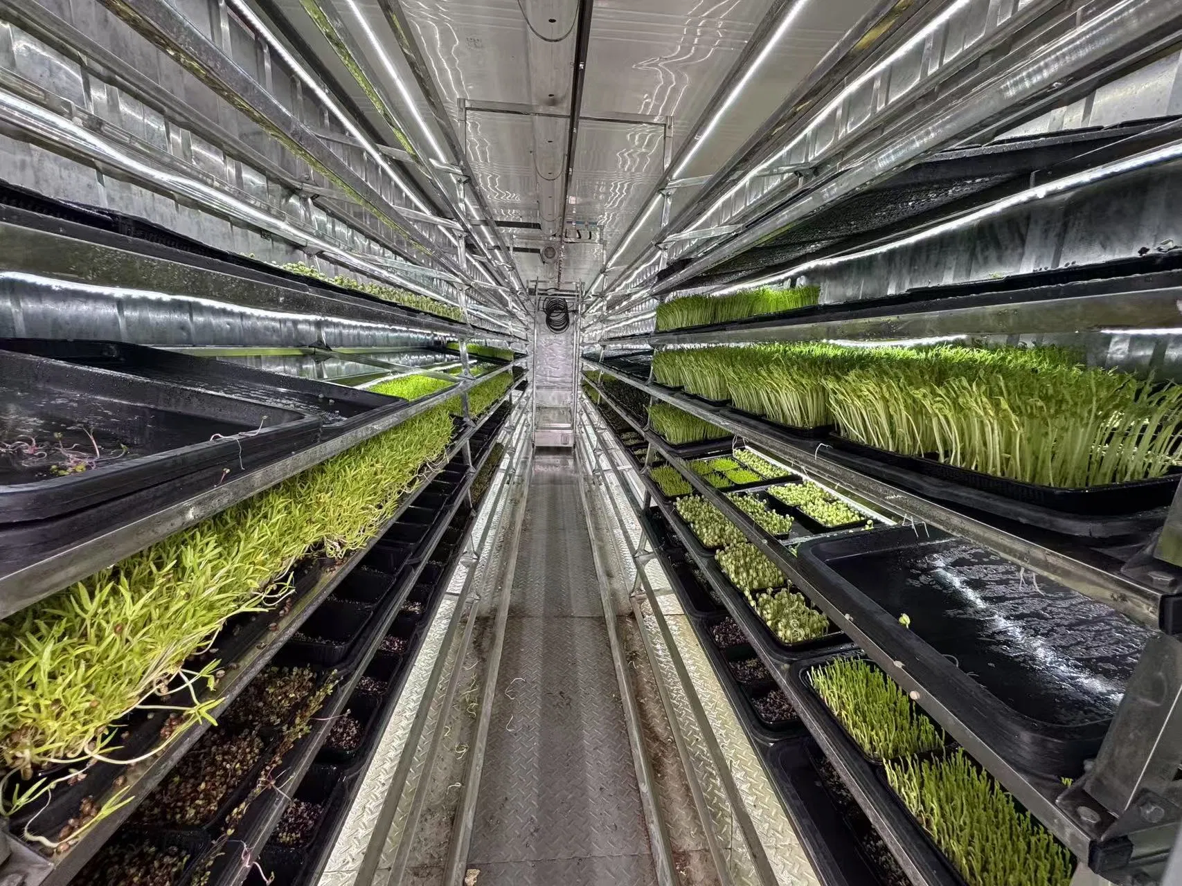 Agg Herbs Hydroponic Aeroponic Plant Factory Vertical Farming Container