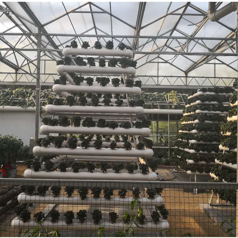 Greenhouse Structure