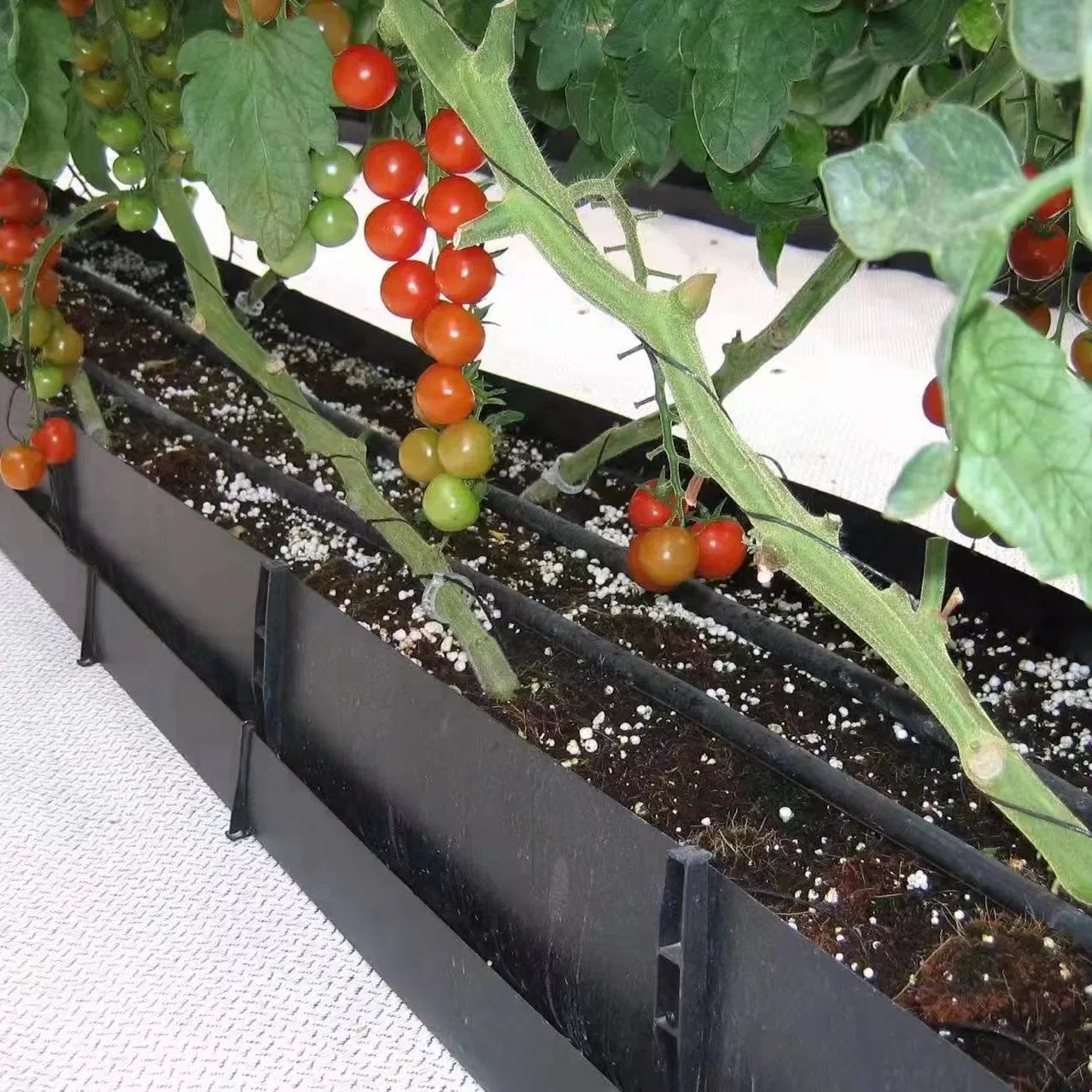 Factory Supply Coconut Coir/Substrate Container for Low Input Soiless Culture for Vegetables/Flowers