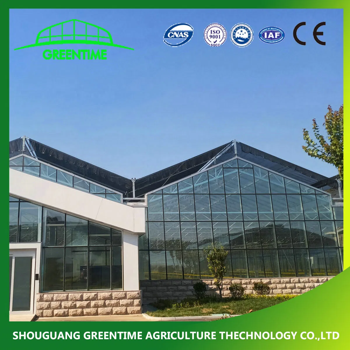 Cheap/Agriculture/Farm/Polycarbonate/Glass/Multi-Span Greenhouse with Irrigation Hydroponic System for Strawberry/Vegetables/Flowers/Tomato/Pepper