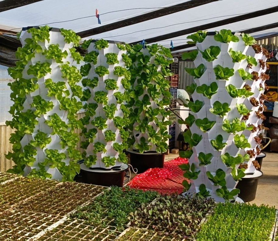 Vertical Gardening Aeroponics Tower Hydroponics Tower System for Vegetable Grow