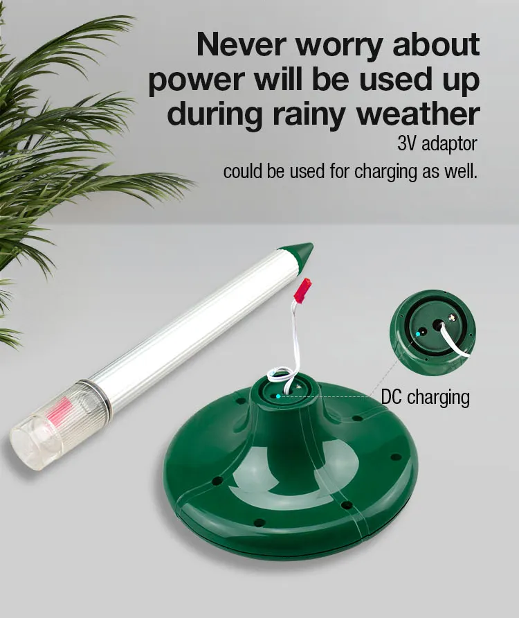 Solar Repeller Photo 8