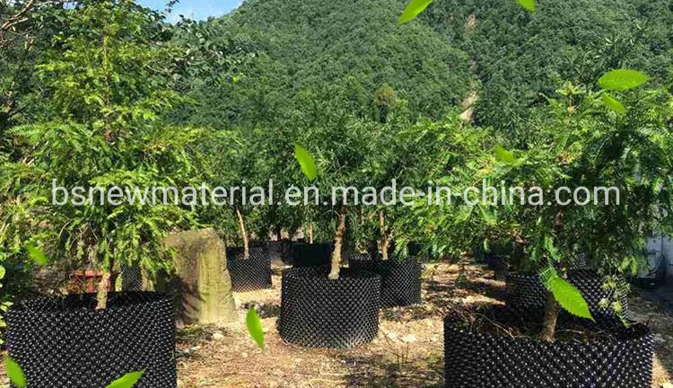 Multi-cell Selection