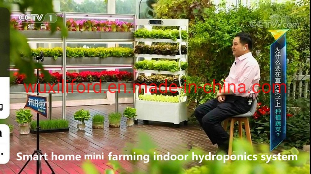 Greenhouse Equipment Small Home Gardening Vertical Hydroponics System