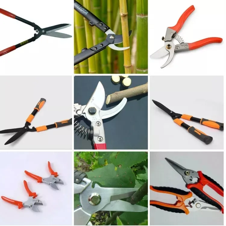 Pruning Shear Display 1