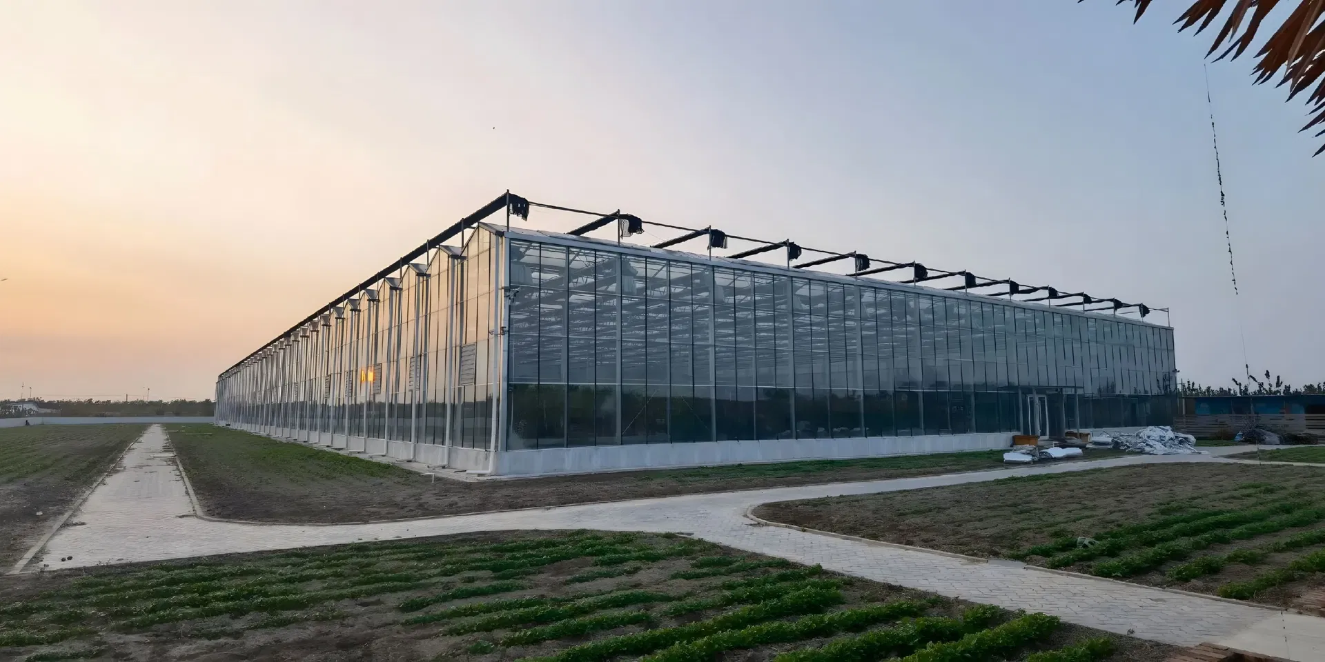 Multi-Span Venlo Glass Greenhouse