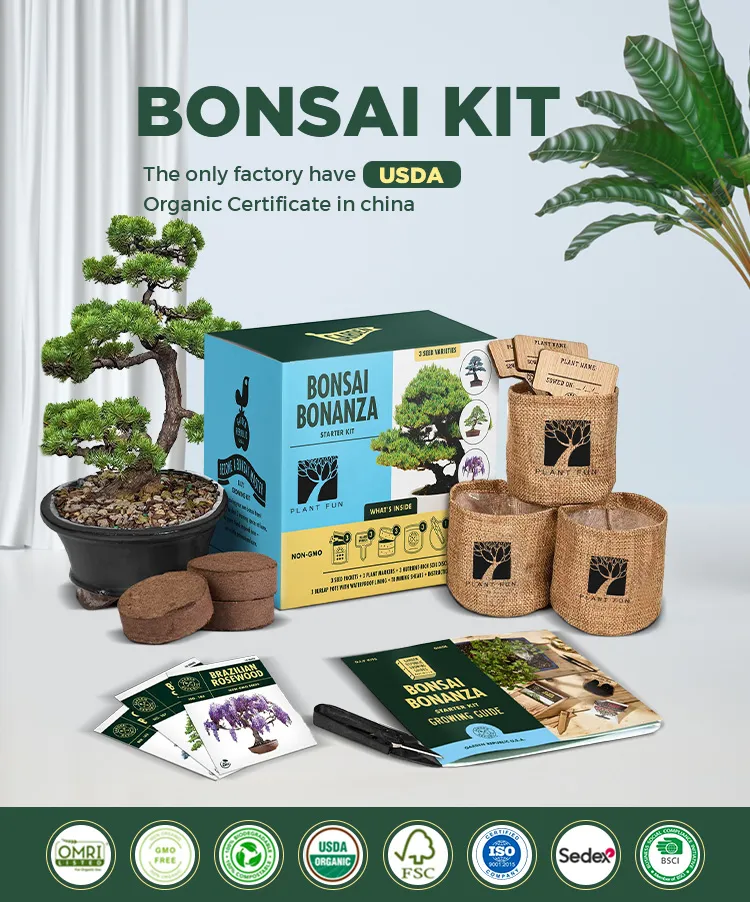 Large Metal Plant Terrarium Kit