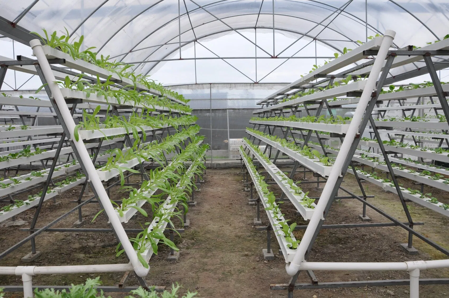 PVC Channel Greenhouse Hydroponic Nft Hydroponic Supplies Vertical Nft Hydroponic